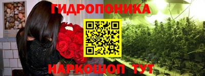 хмурый Заводоуковск