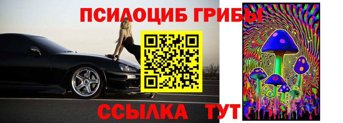 Галлюциногенные грибы Cubensis Кунгур