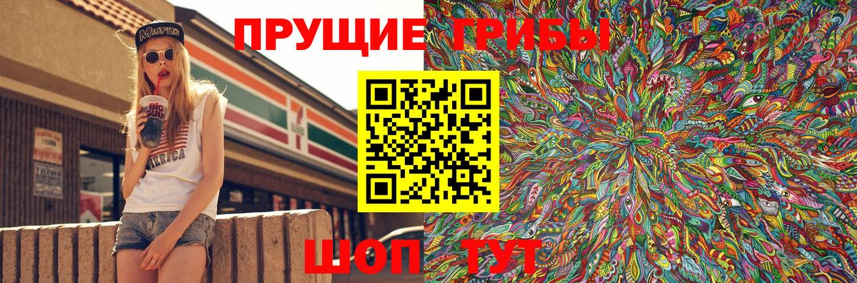Кунгур  Галлюциногенные грибы Psilocybe  Вход с VPN  Галлюциногенные грибы мухоморы 